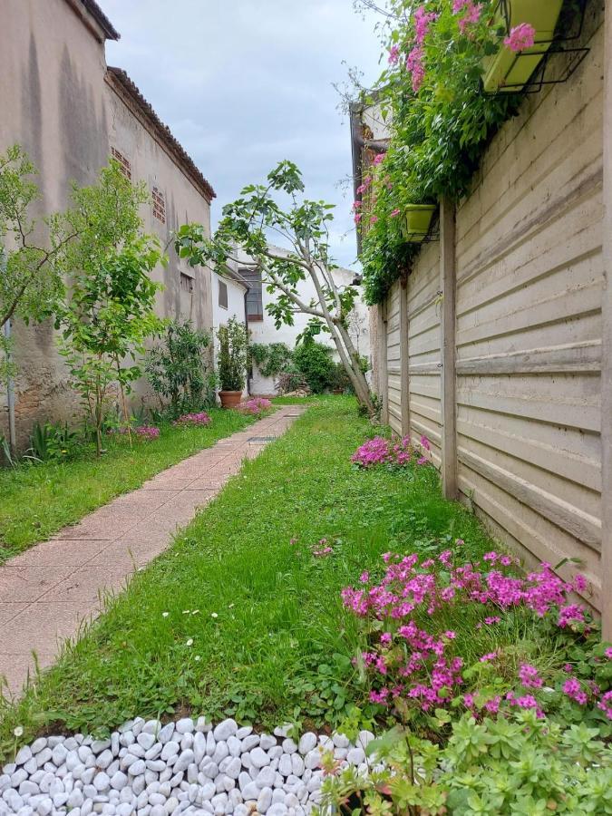 Un Po Sul Delta Villa Ariano nel Polesine Ngoại thất bức ảnh
